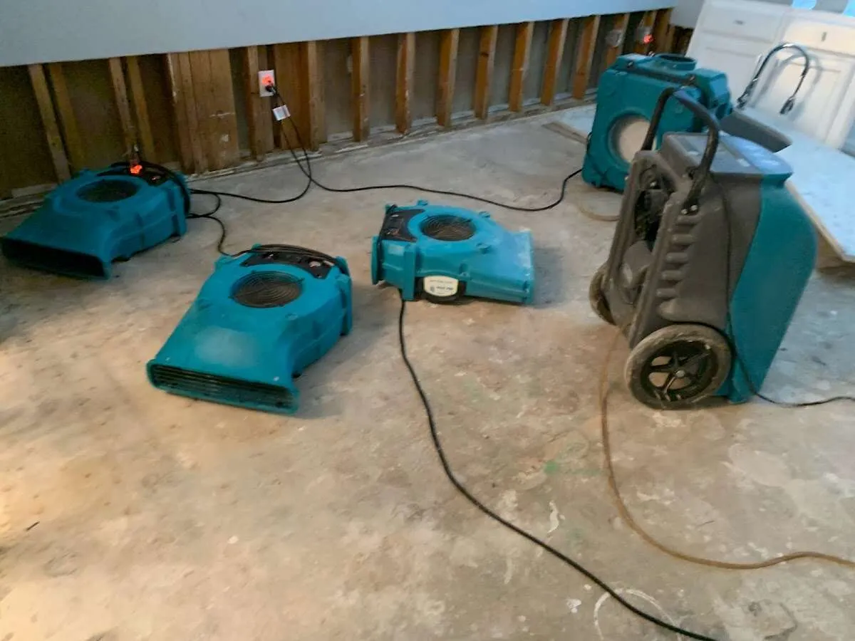 Water Damage Restoration services in Valrico, FL